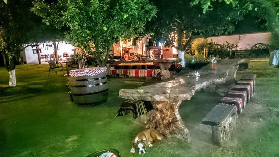 Domacinstvo Cikic Zasavica Guest House Exterior foto