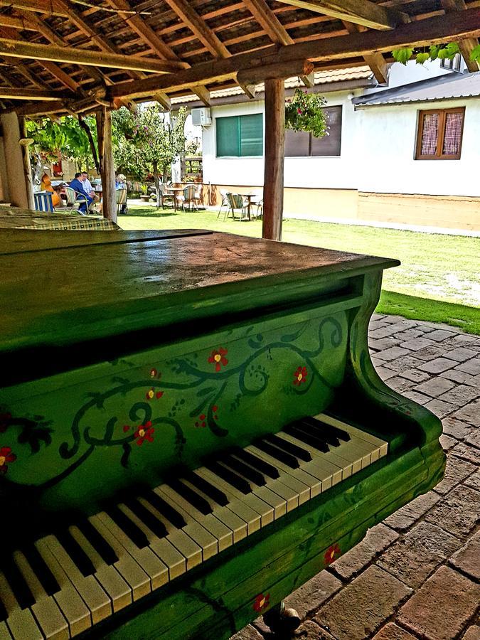 Domacinstvo Cikic Zasavica Guest House Exterior foto